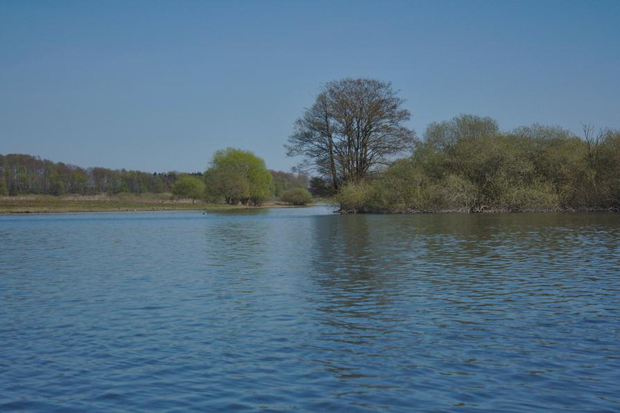 Lanker See bei Preetz