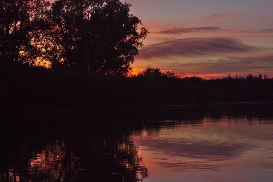 Spätsommerabend an der Peene