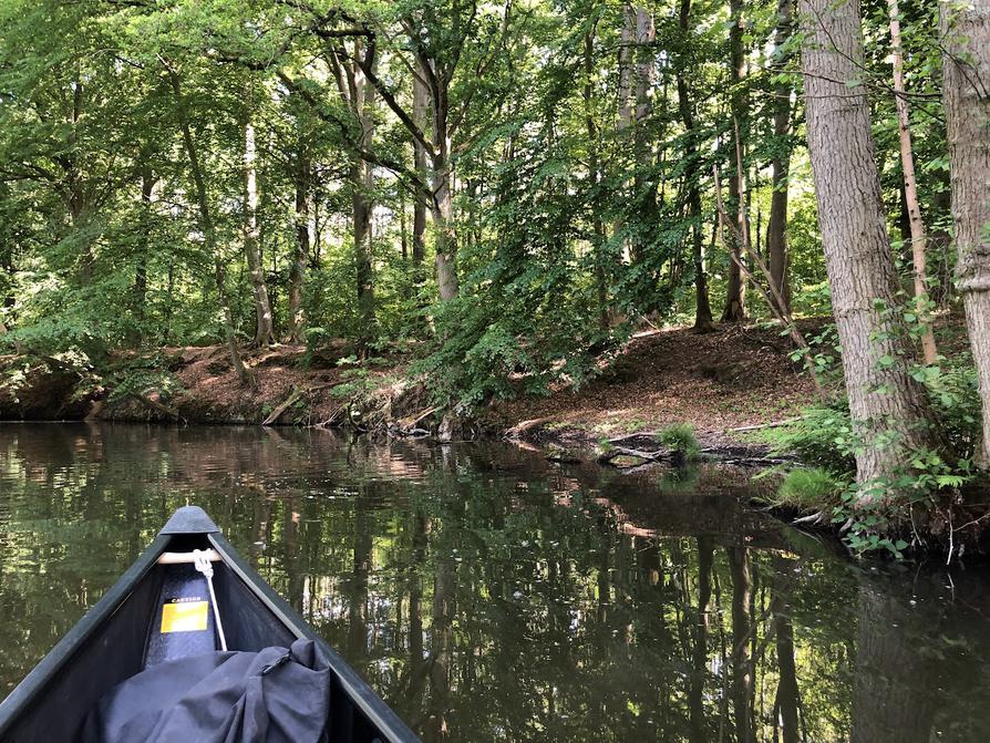 hohes sandiges Ufer an der Mildenitz