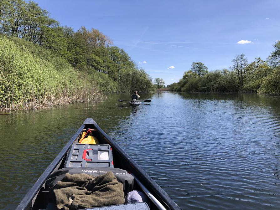 Schwentine vor dem Kronsee