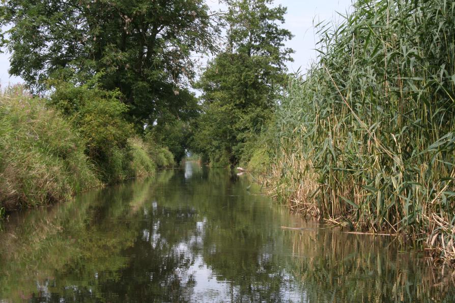 Letschiner Hauptgraben ganz gerade