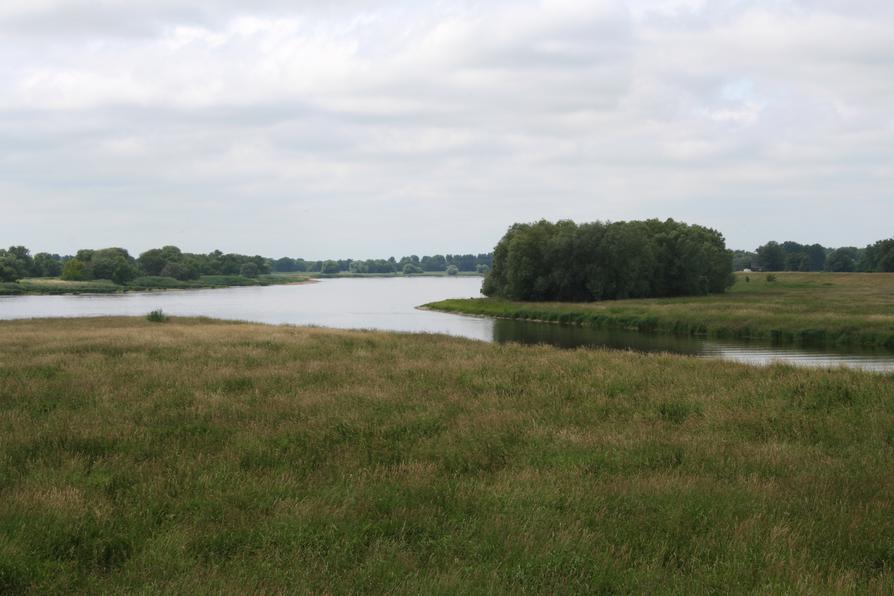 Mündung der Havel in die Elbe