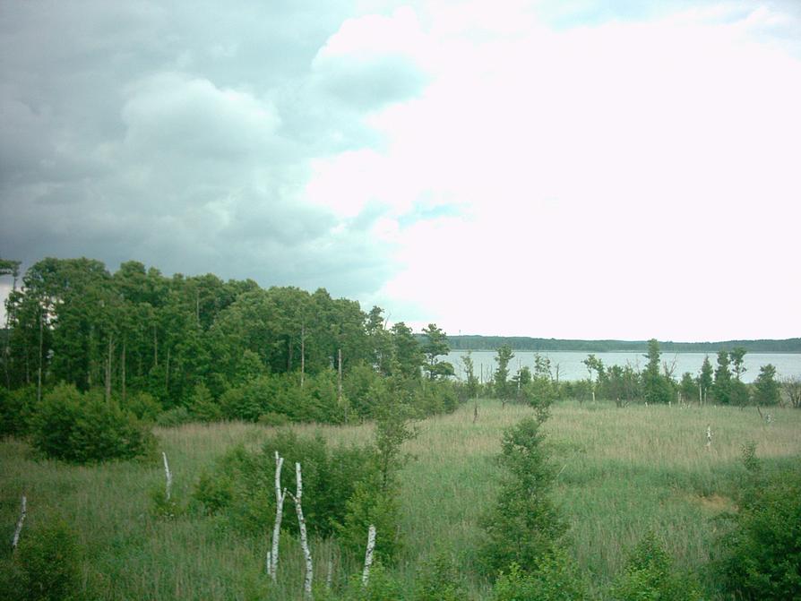 Blick auf den Specker see