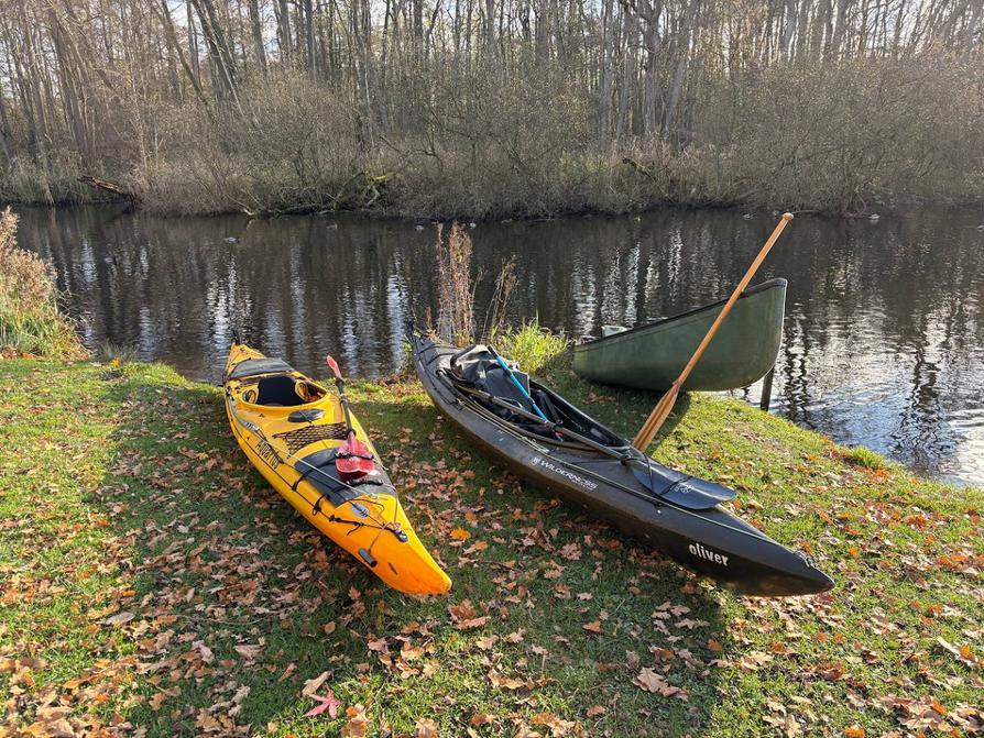 angelandet zum Picknick