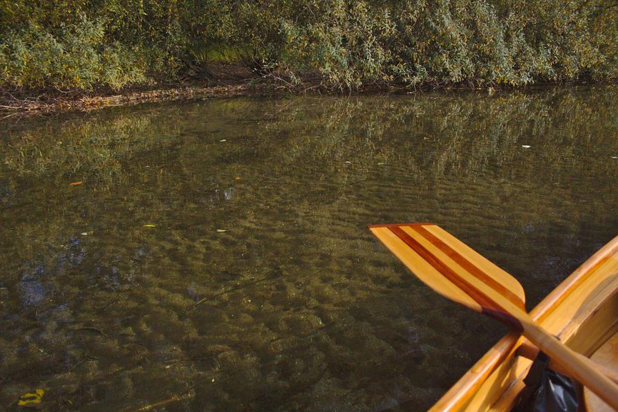 sehr flaches Wasser in der Schwentine sehr flaches Wasser in der Schwentine