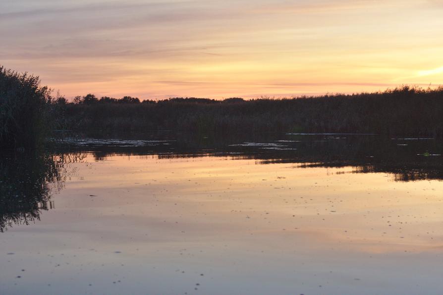 Abendrot an der Peene