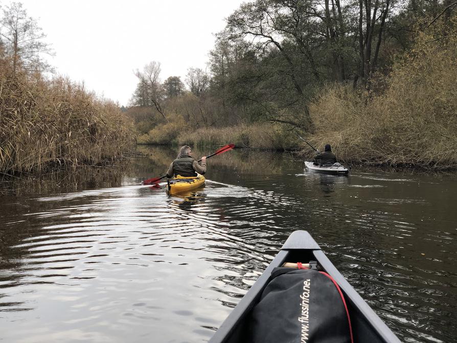 Die Schwentine bei Klausdorf