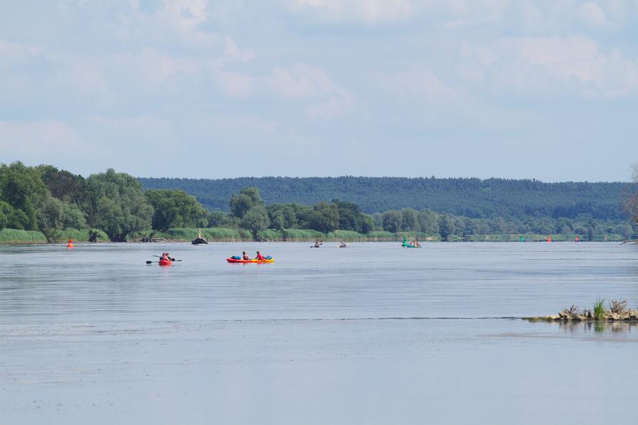 Oder (Odra) unterhalb Hohenwutzen