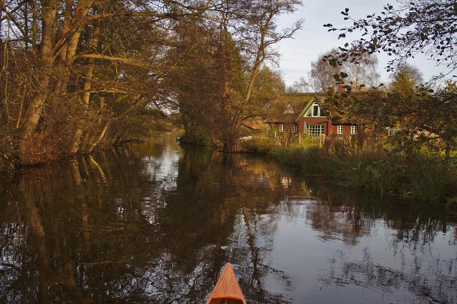 Eider-fast wie im Spreewald Eider-fast wie im Spreewald