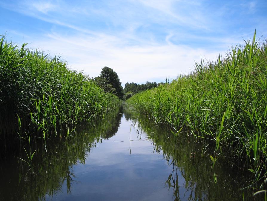 die Havel unterhalb von Babke