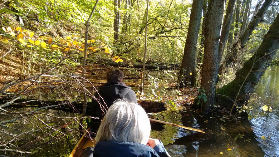 Pause im Auenwald bei Gut Rastorf Pause im Auenwald bei Gut Rastorf