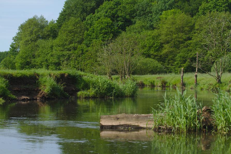 neue Ufer an der Stör