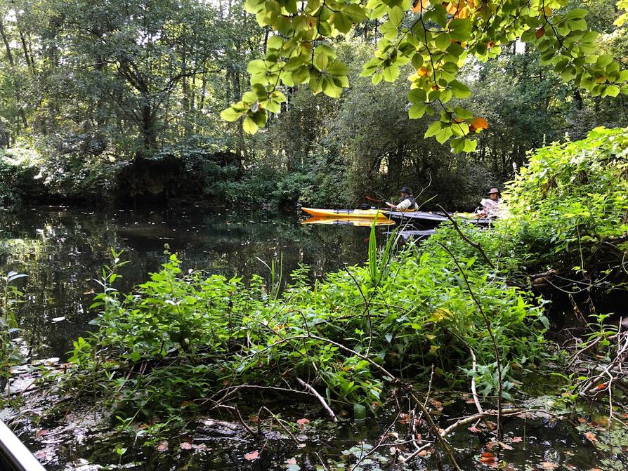 Schwentine bei Gut Rastorf Schwentine bei Gut Rastorf