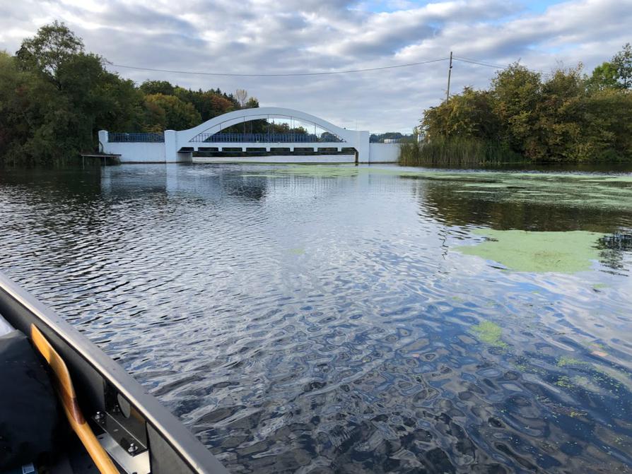 auf dem Rosensee bei der Weißen Brücke