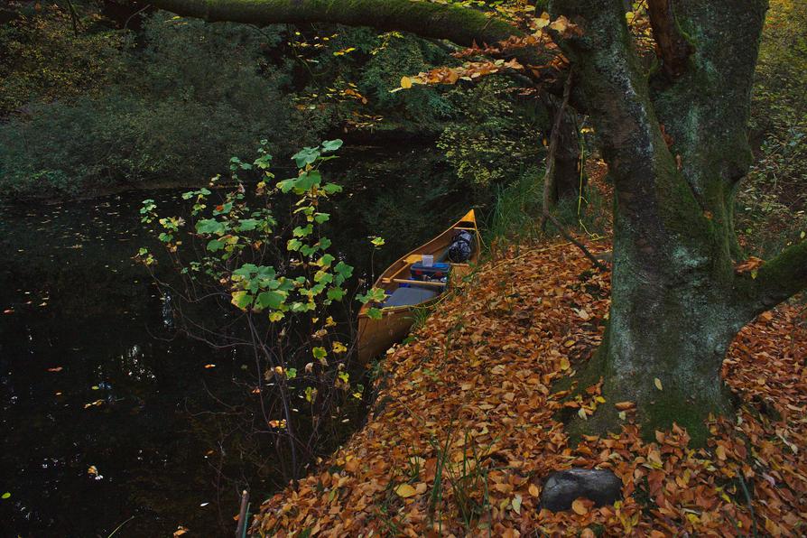Pause im Auenwald an der Schwentine Pause im Auenwald an der Schwentine
