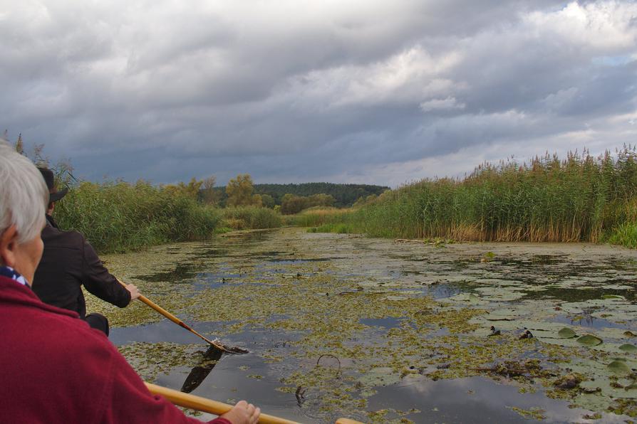 Kanal in den Poldern Kanal in den Poldern