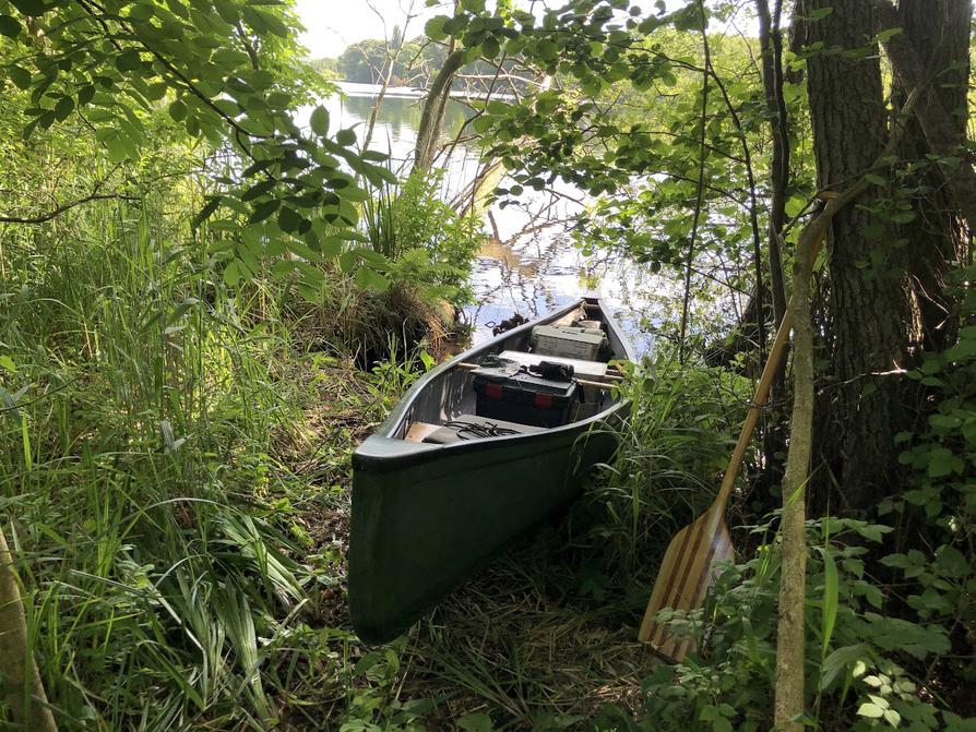 Zurück an der Einsetzstelle am Langensee