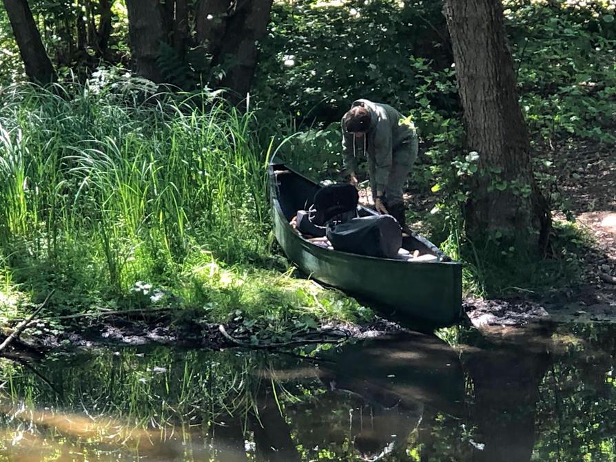 Vorbereitung zum Picknick