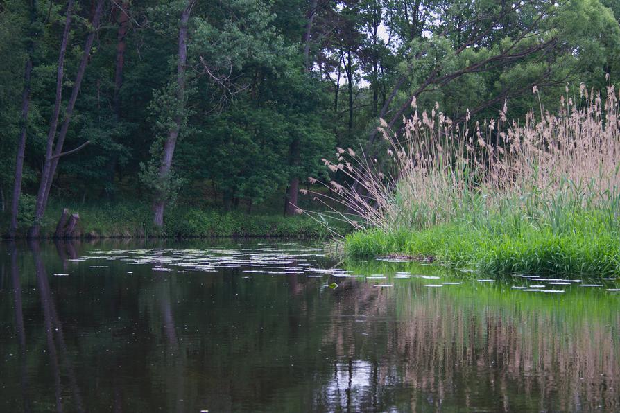 Müggelspree durch Hangelsberg