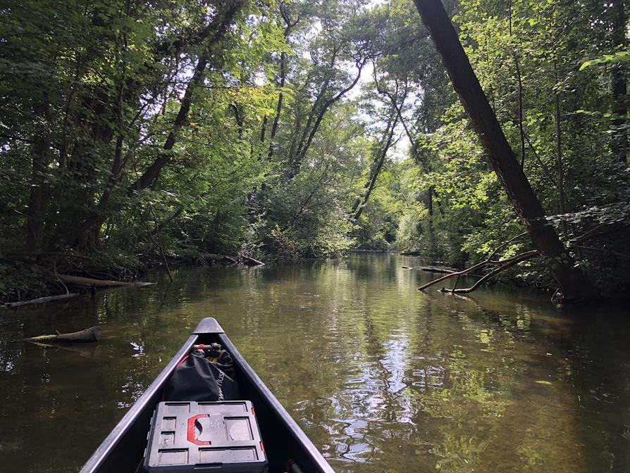 kleinen Abstecher in Richtung Großen Plöner See unternommen