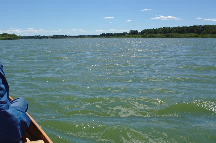 leichter Wellengang auf dem Lanker See