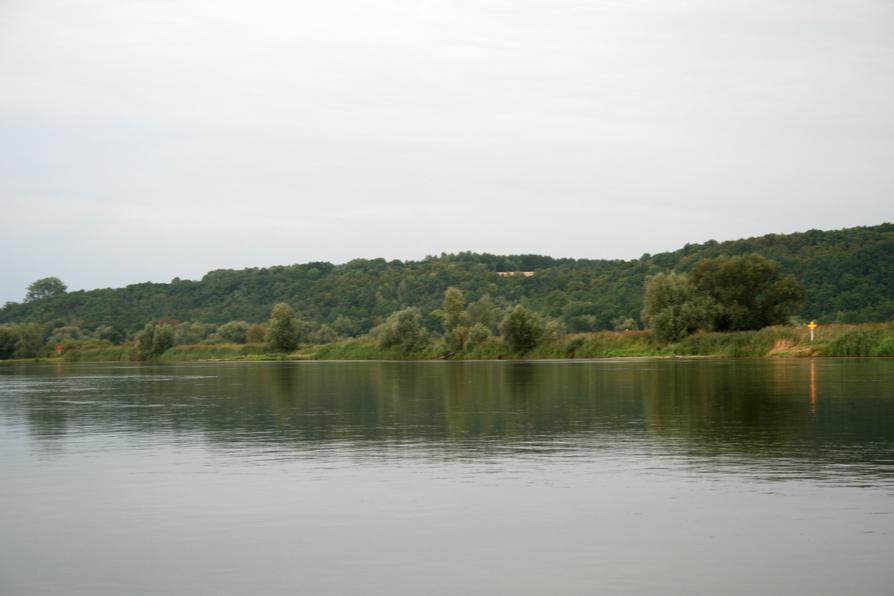 Oder bei Bielinek