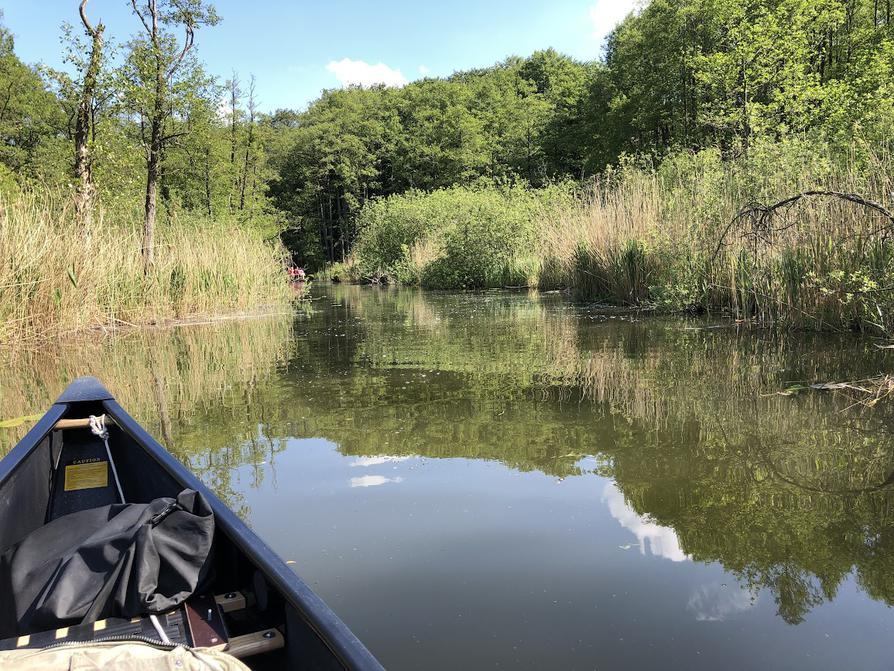 Ende des Borkower See