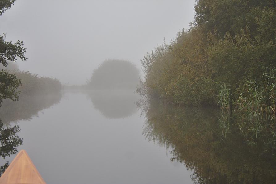 feiner Nebel über der Eider