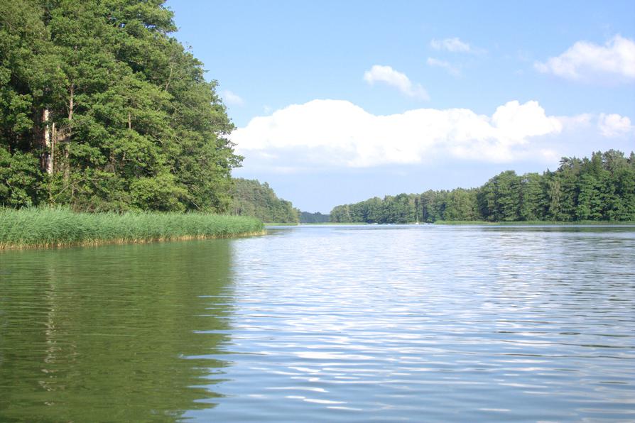 schöner Lübbesee bei Templin