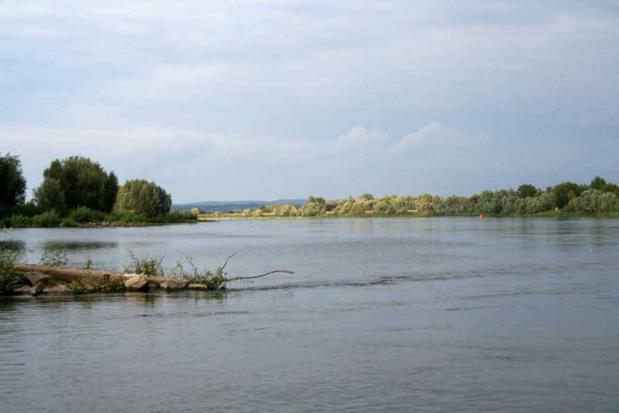 Oder bei Alte Schleuse Hohensaaten