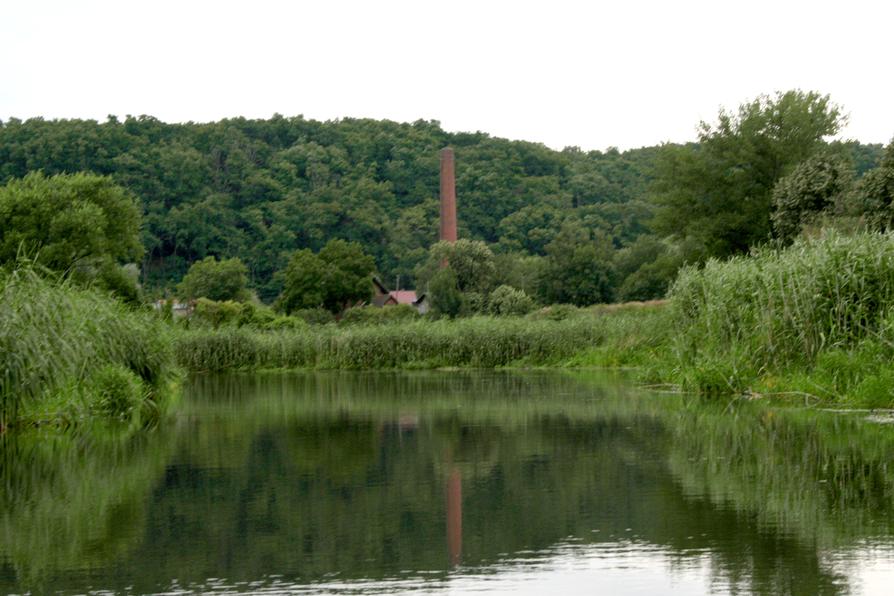 Wriezener Alte Oder vor Neutornow