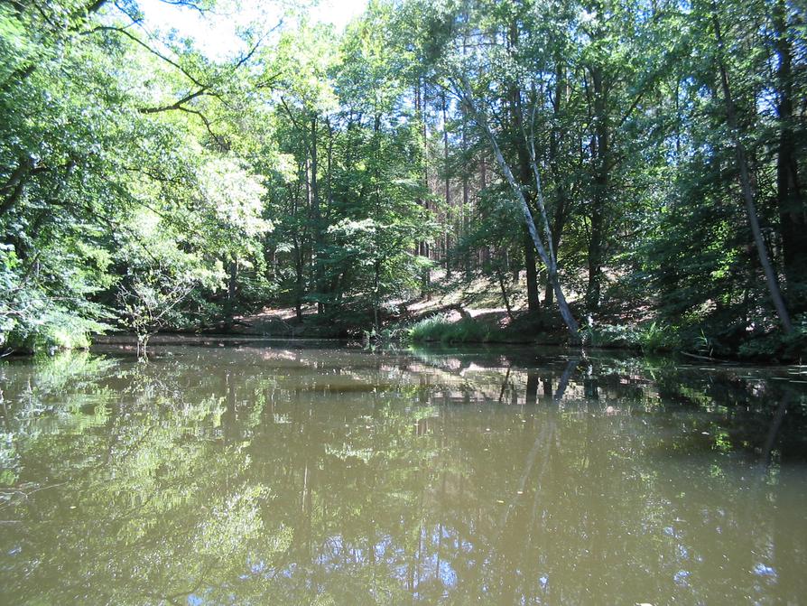 Obere Havel beim Görtowsee