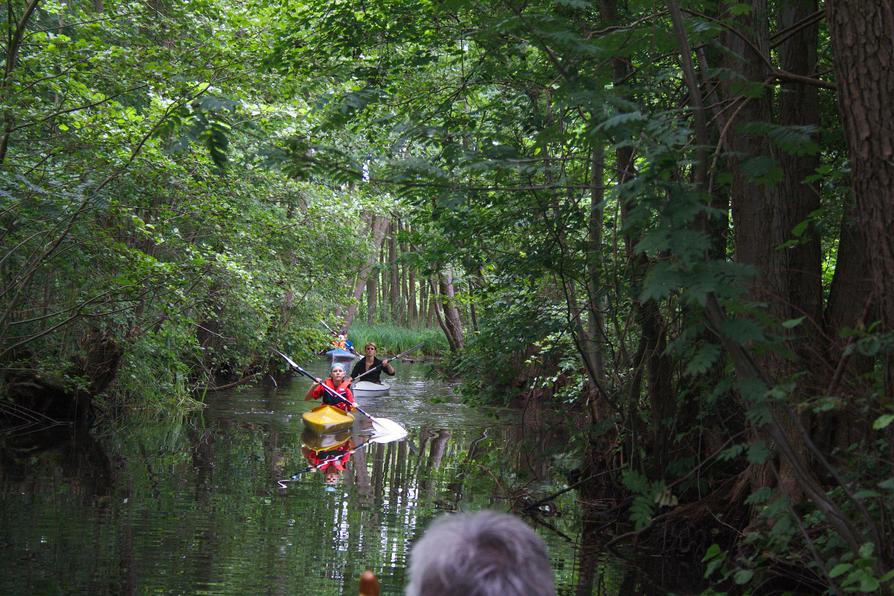 kleiner Stichkanal zum Carwitzer See