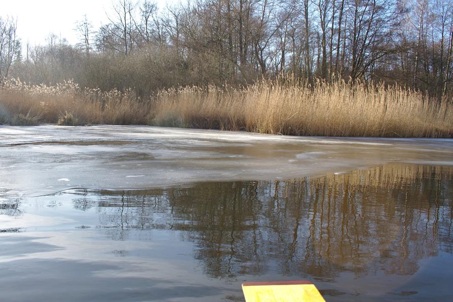 vereiste Bucht an der Schwentine vereiste Bucht an der Schwentine