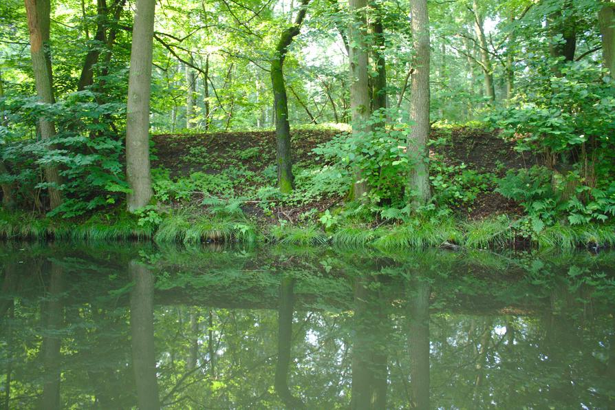 schönes Ufer am Langen Trödel