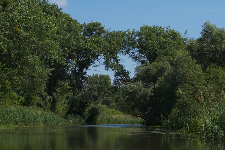 Stille Oder bei Neutornow/Schiffmühle