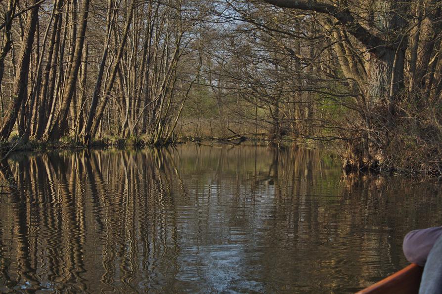 Eider-Altarm bei Achterwehr