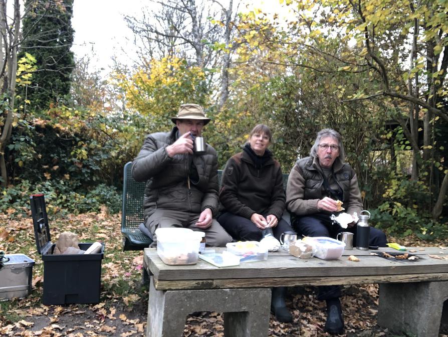 Picknick in Klausdorf