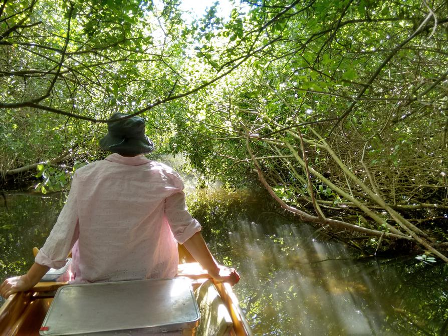 ab durch die Büsche in der Schwaanhavel