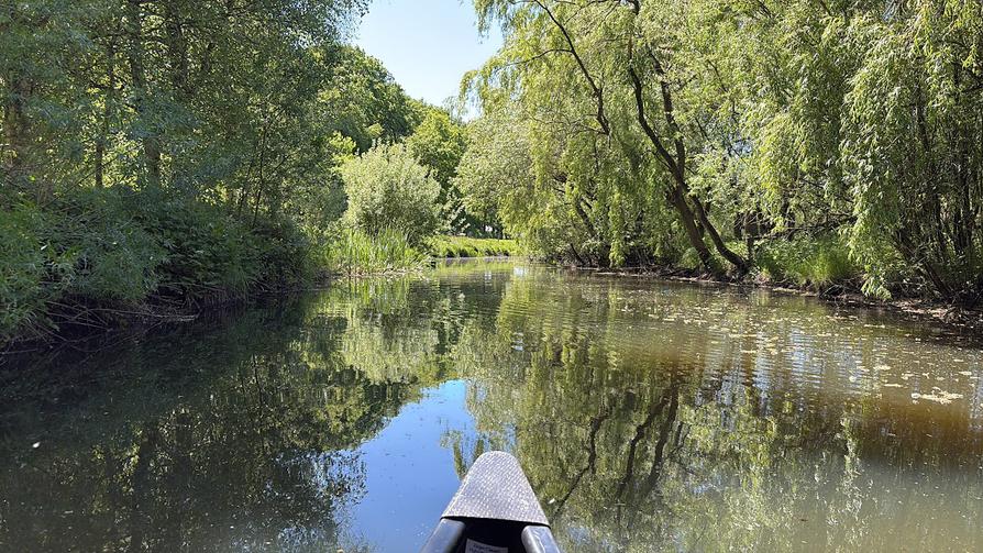 wir paddeln in Richtung Tetenhusen-Dorf