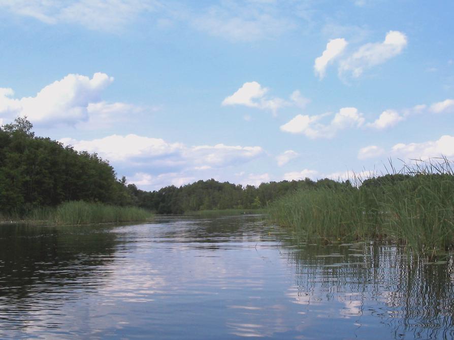 Oberbek vor Fleether Mühle