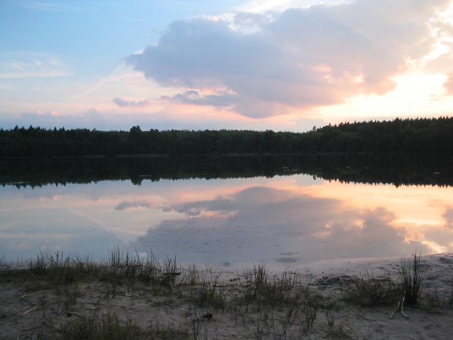 Peetschsee im Wald