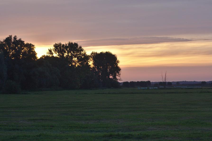 morgens in Nehringen nahe dem Wasserwanderrastplatz