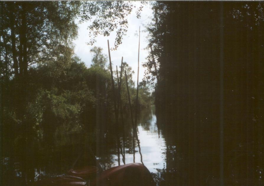 Fischsperre im Dahmer Kanal