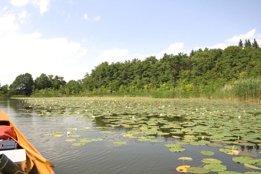 Bruchsee bei Templin