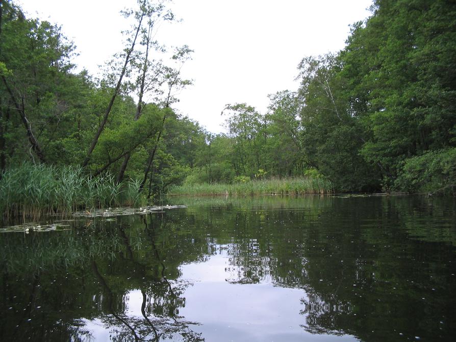 Ende des Rätzsees, vor Fleether Mühle