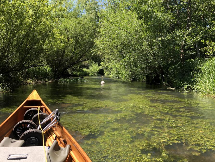 Engstelle in der Eider beim Schulensee