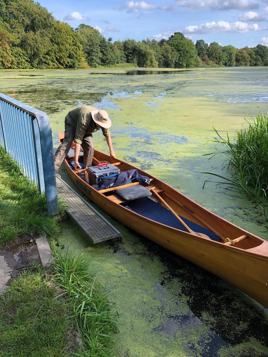 einsetzen am Rosensee