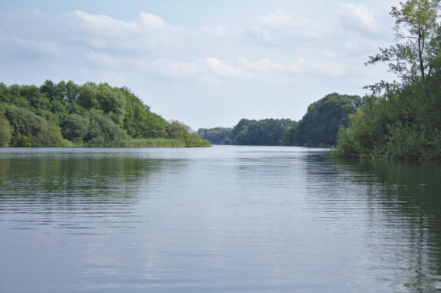 Schwentine Große Breite beim Gut Wittmoldt