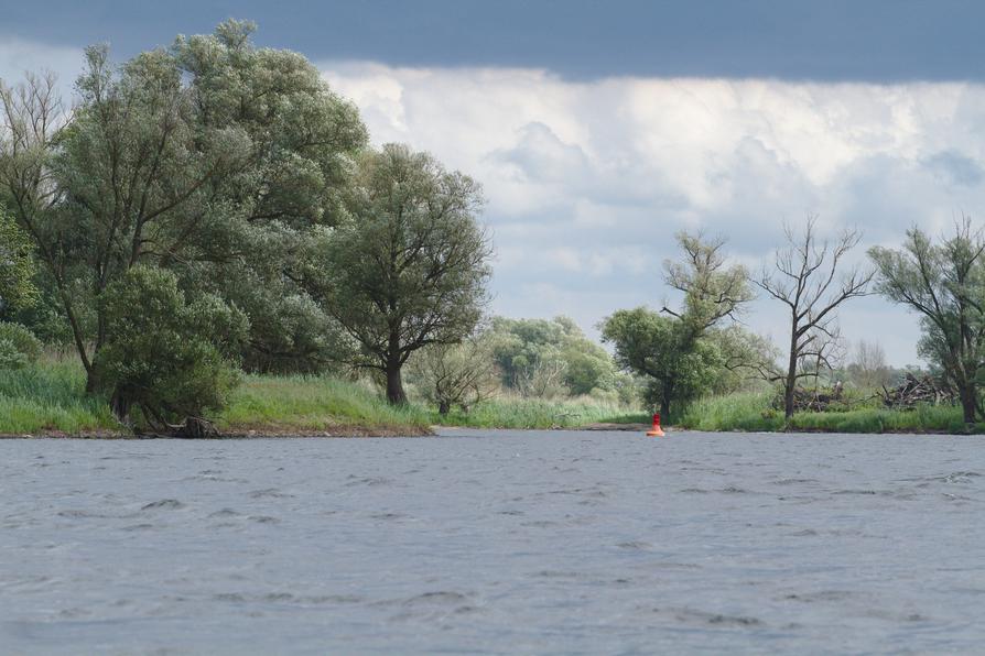 die Untere Havel bei Velgast